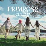 CINEMA专辑