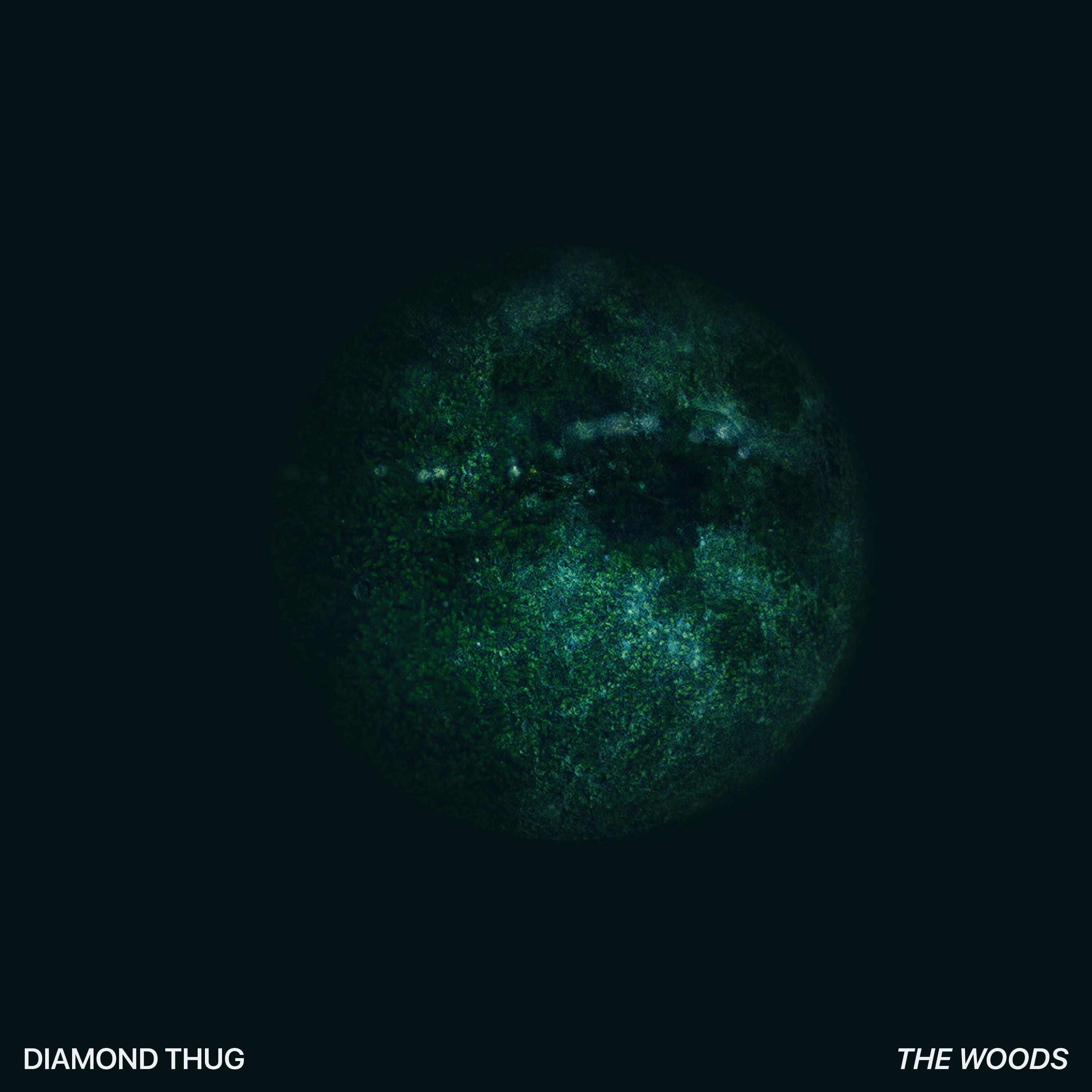 Diamond Thug - The Woods