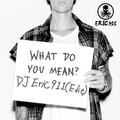 What Do You Mean(DJ Eric911 Edit)