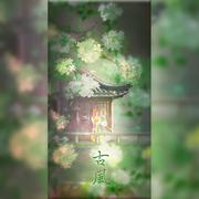 晚风作酒（桃籽版）（完整女声版）