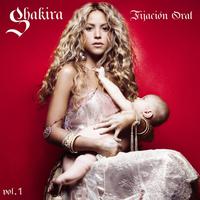 Shakira - La Pared (instrumental)