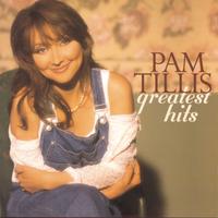 原版伴奏   Pam Tillis - Mi Vida Loca (My Crazy Life) ( Karaoke ) 有和声
