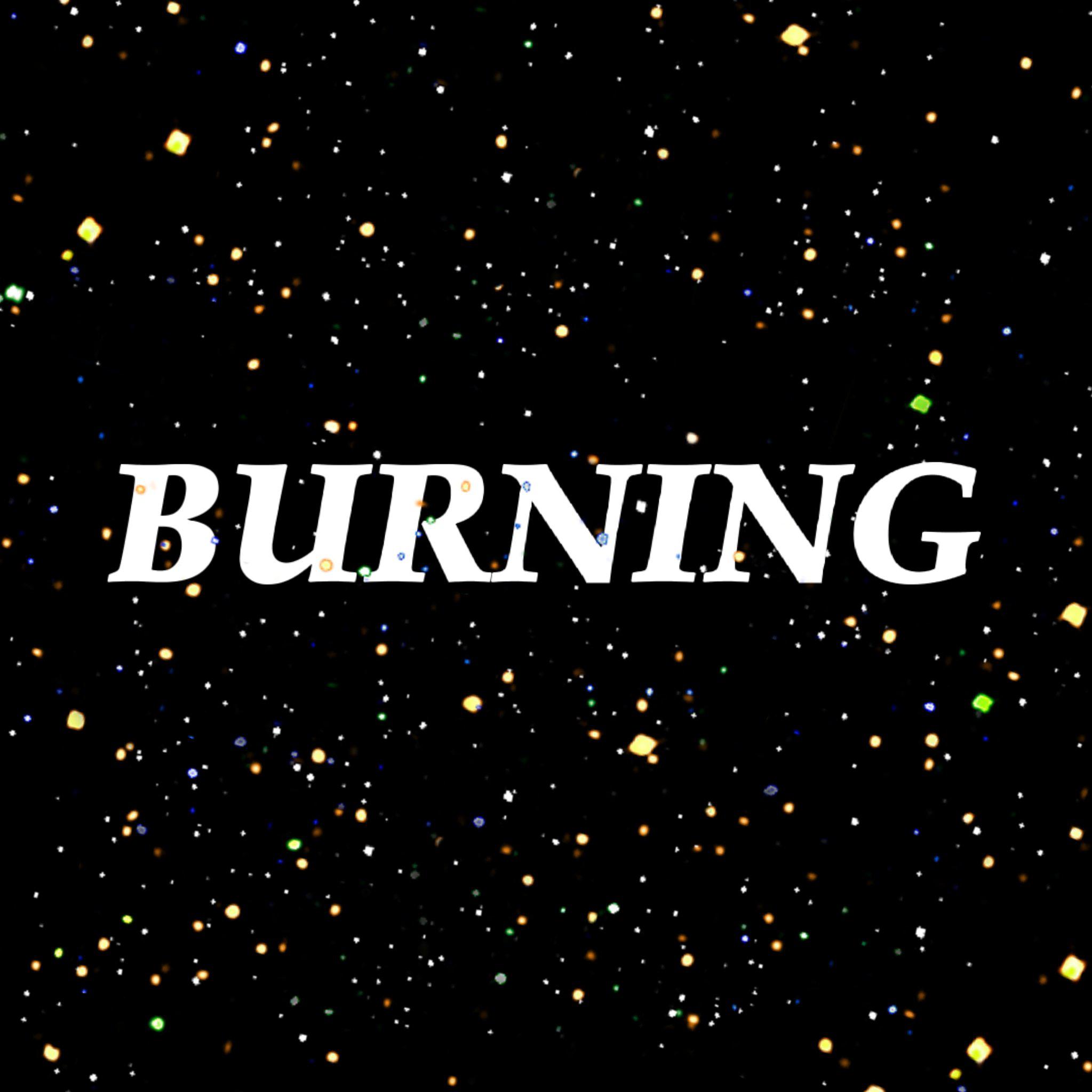 是容花不是容fa - Burning