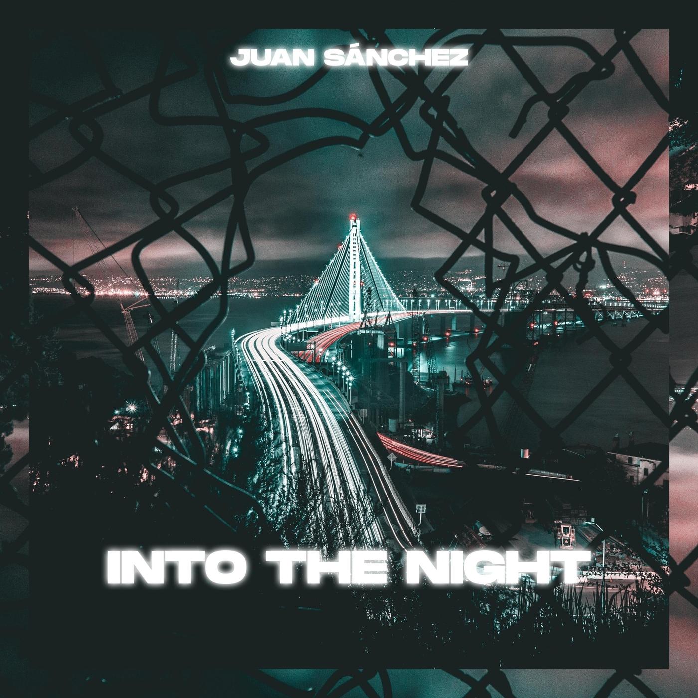 Into the Night