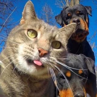 精选-网络热歌|持续更新