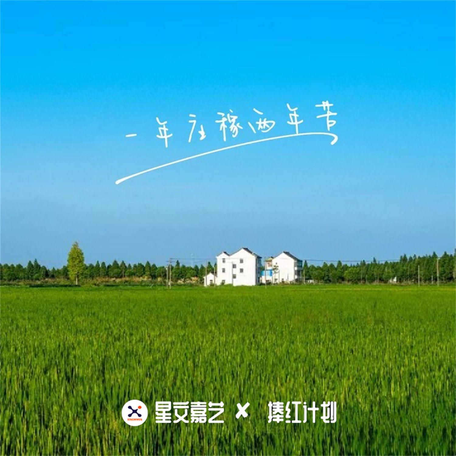 青海花儿歌曲封面
