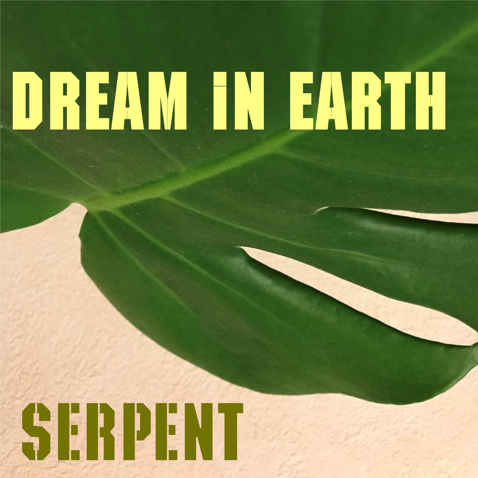 DREAM IN EARTH