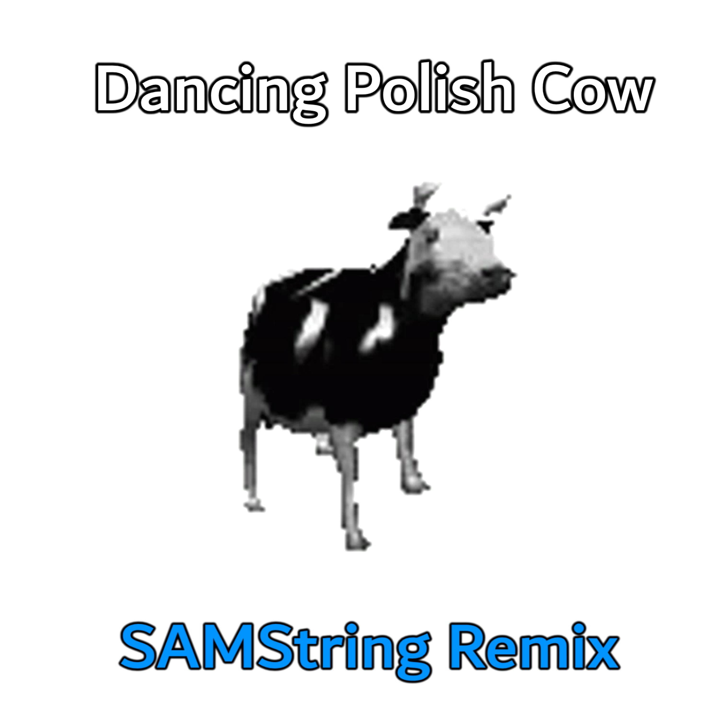 Polish cow текст. Корова танцует. Polish Cow Dance Song. Dancing Polish Cow текст.