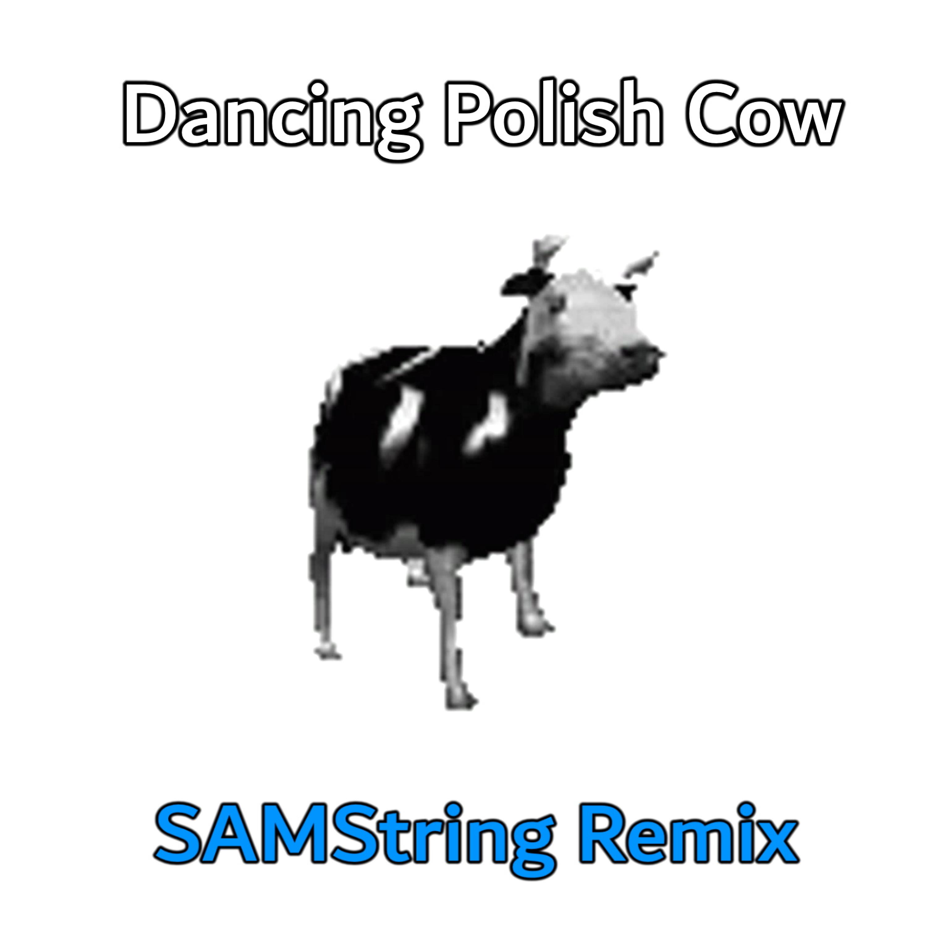 Dancing polish cow lyrics english