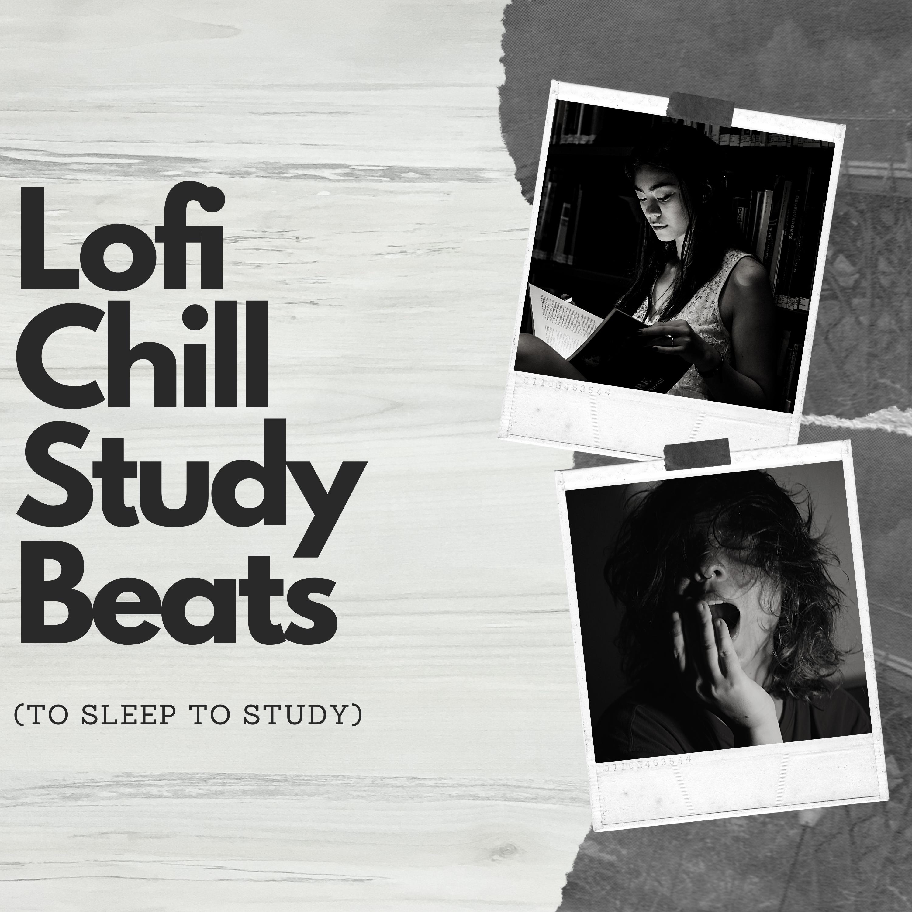 Lofi Chill Study Beats (To Sleep To Study)
