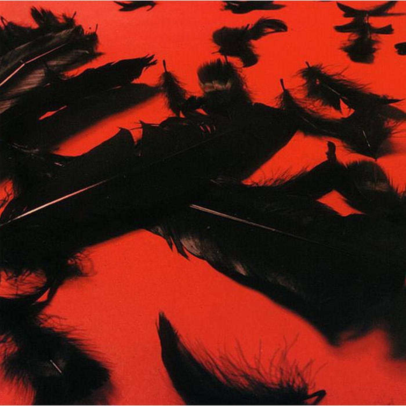 Black Feather Wings (Bourbon Princess)