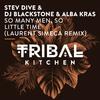 Stev Dive - So Many Men, so Little Time (Laurent Simeca Radio Remix)