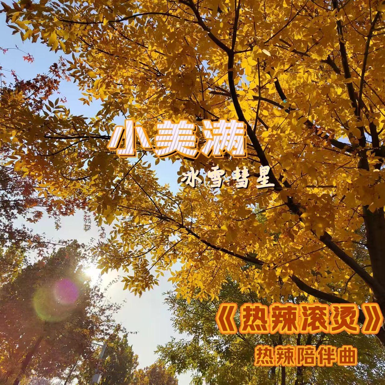 冰雪彗星歌曲封面