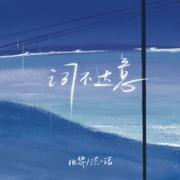 词不达意