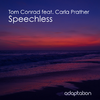 Tom Conrad - Speechless (Instrumental)