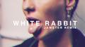 White Rabbit (Jawster Remix)专辑