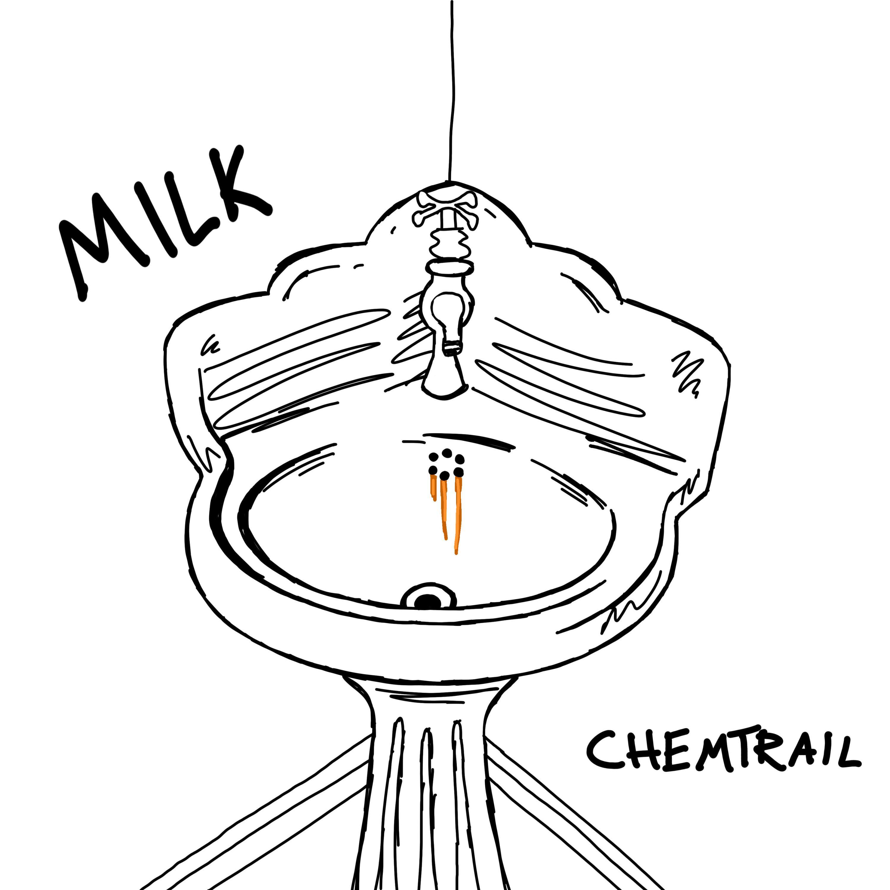 MILK