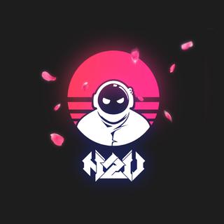 N2V