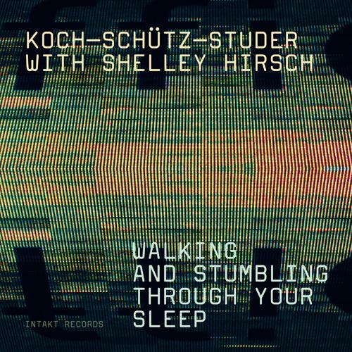 KOCH, Hans / SCHUTZ, Martin / STUDER, Fredy: Walking and stumbling through your sleep