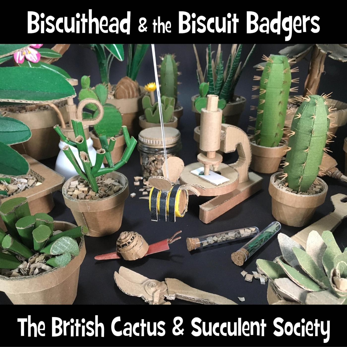 The British Cactus & Succulent Society