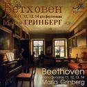 Beethoven: Piano Sonatas Nos. 11, 12, 13 & 14专辑