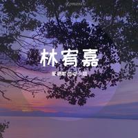 林宥嘉 - 我总是一个人在练习一个人 - MV版伴奏.mp3