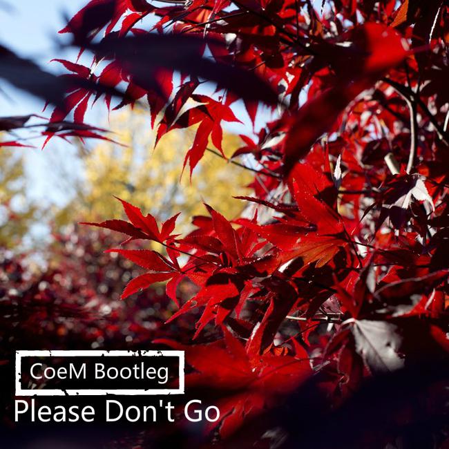 Please don't go(CoeM Bootleg)专辑