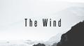 The Wind专辑