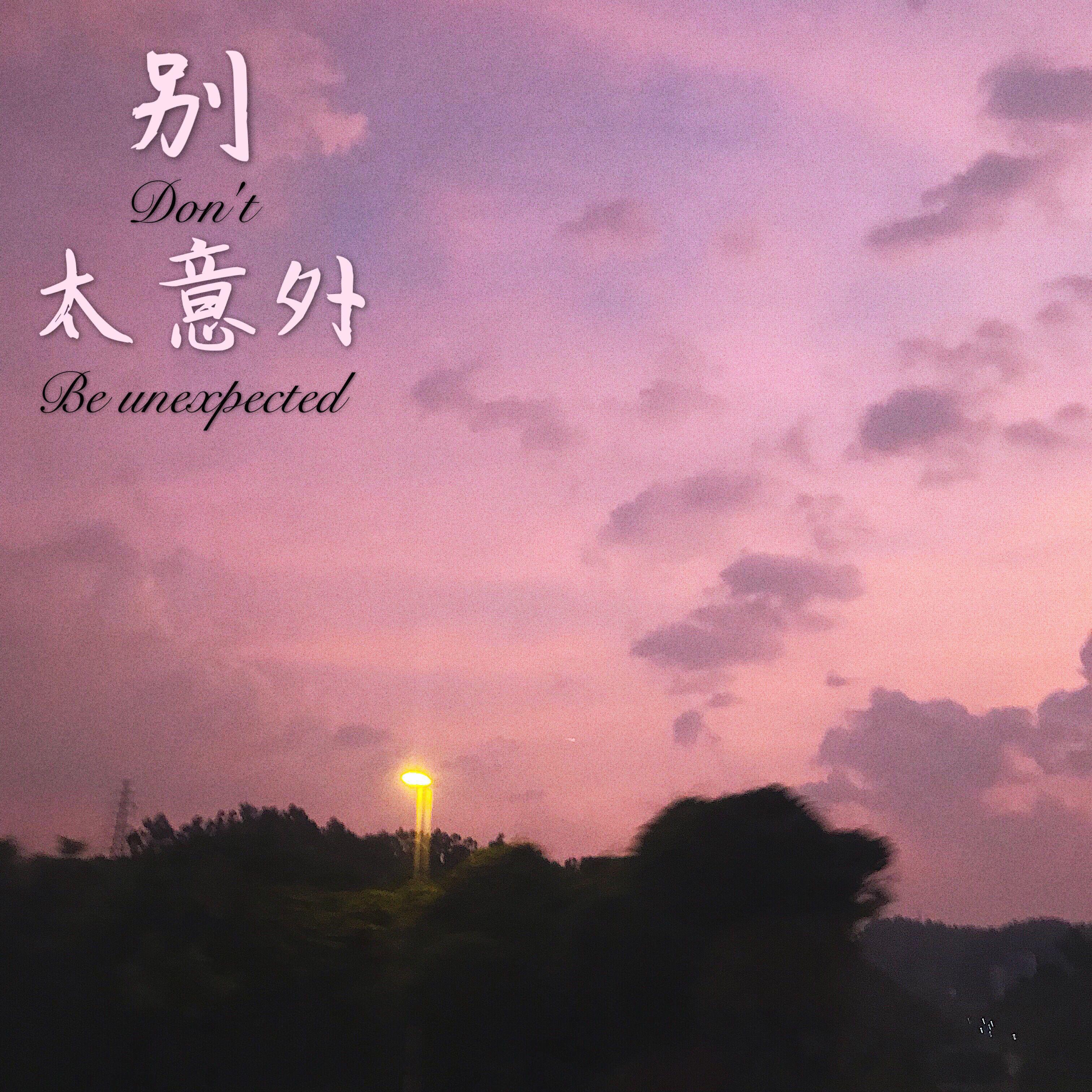 别太意外封面