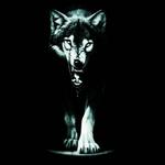 Wild Wolf (Original Mix)
