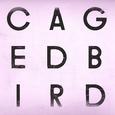 A Caged Bird/Imitations of Life