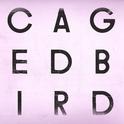 A Caged Bird/Imitations of Life专辑