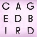 A Caged Bird/Imitations of Life专辑