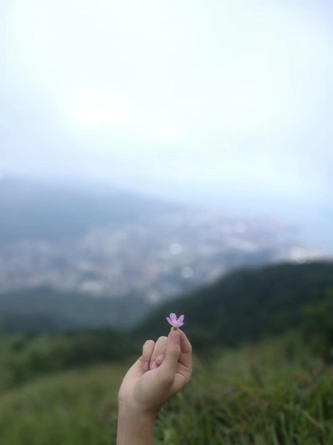 荒芜-《少女的梦》游戏主题曲专辑