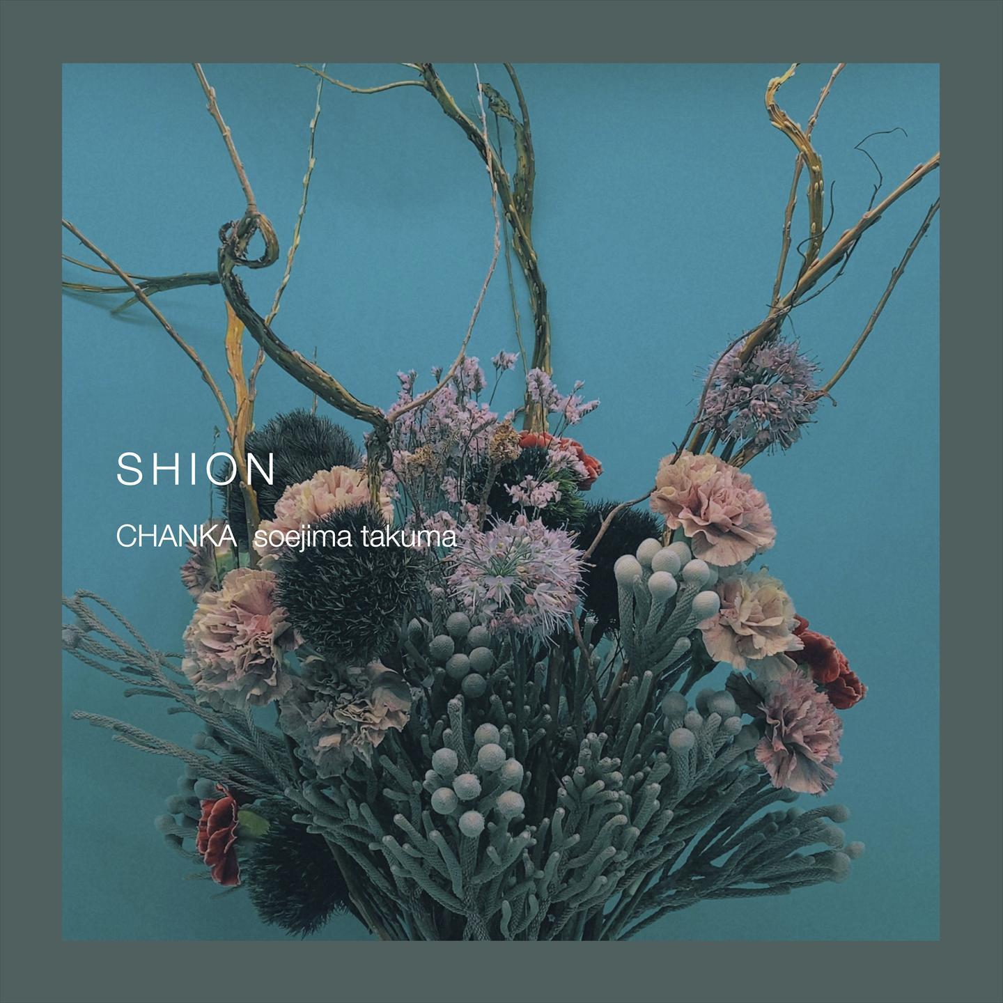 Shion (仮)