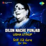 Usha Uthup Dilon Nache Punjab专辑