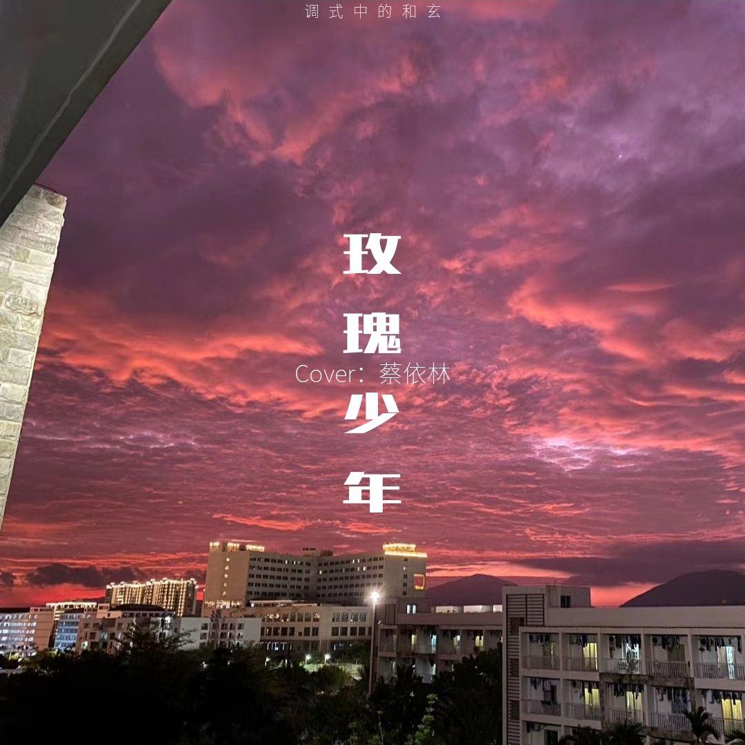 玫瑰少年（巡演版 remix）