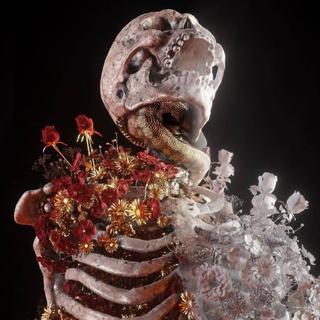 中文说唱的新生代们