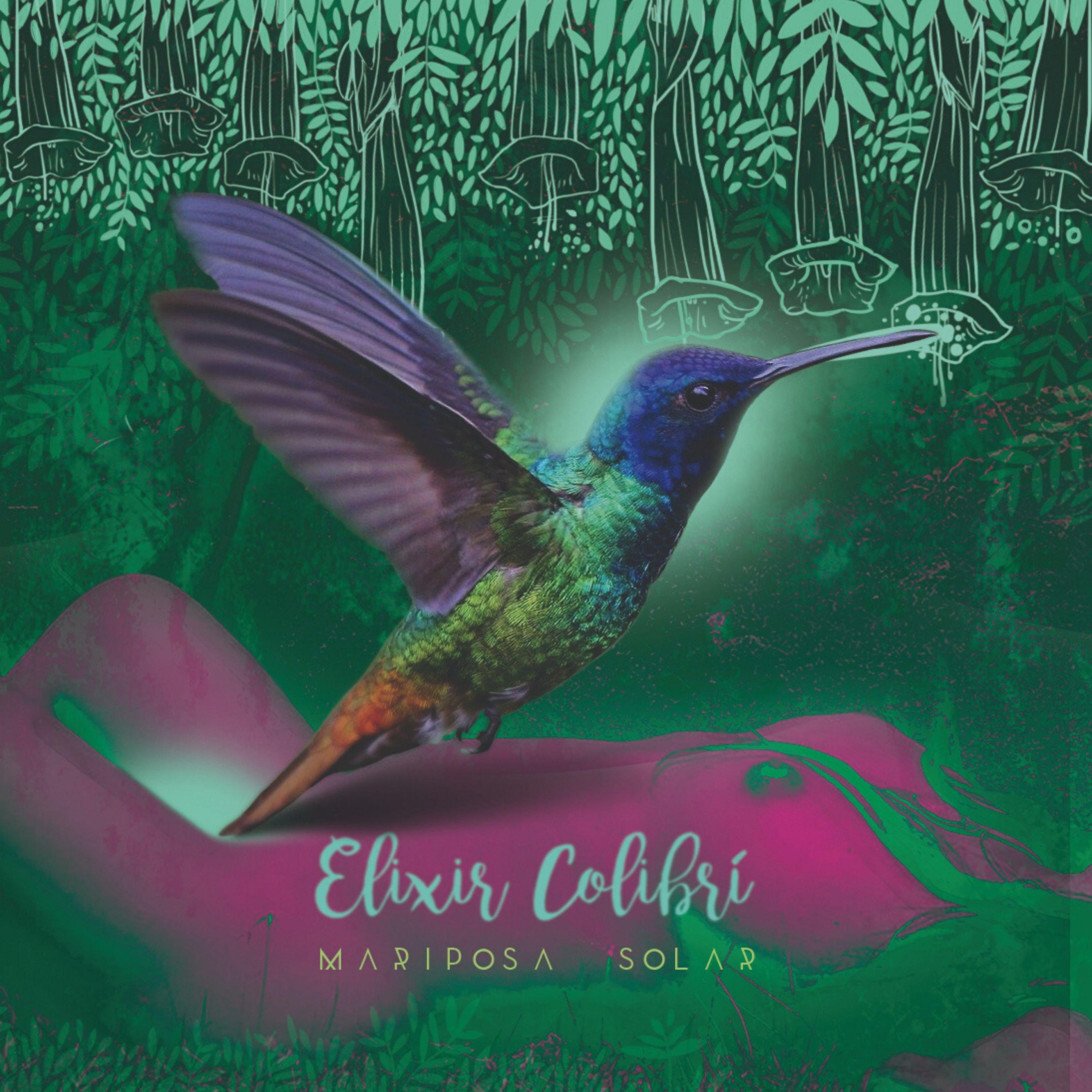 Elixir Colibrí