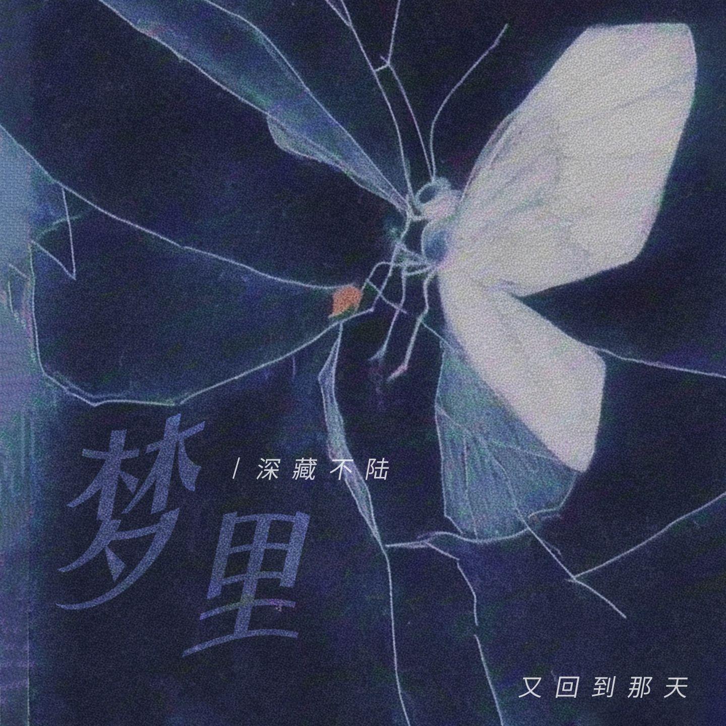 梦里