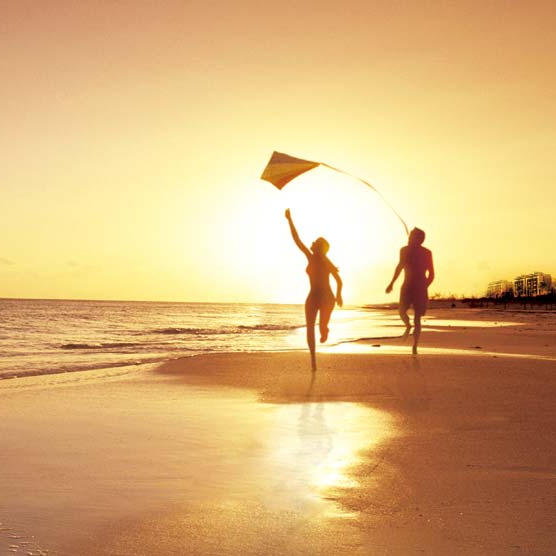 我多想终点有你