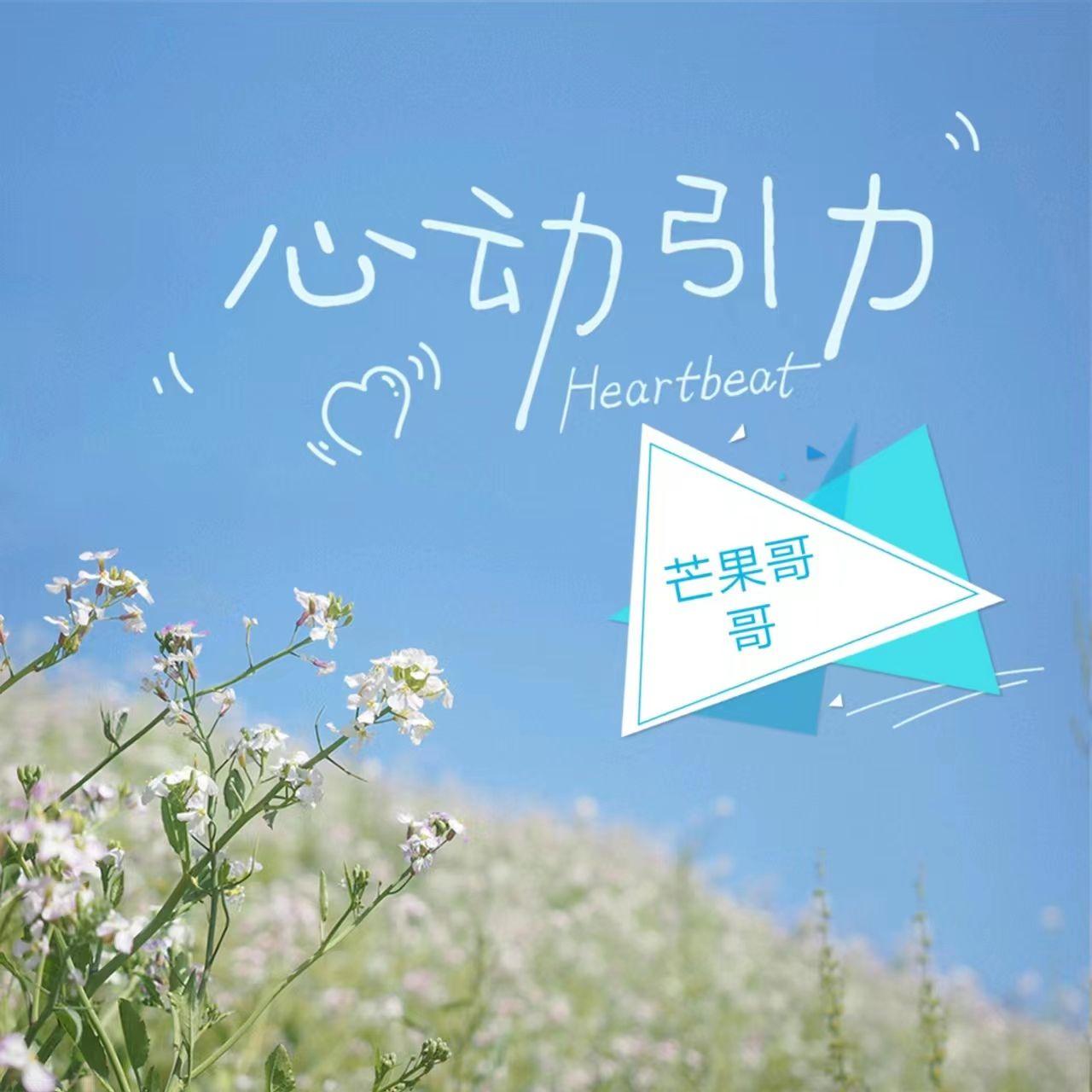 心动引力