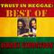 Trust In Reggae: Best Of Israel Vibration专辑