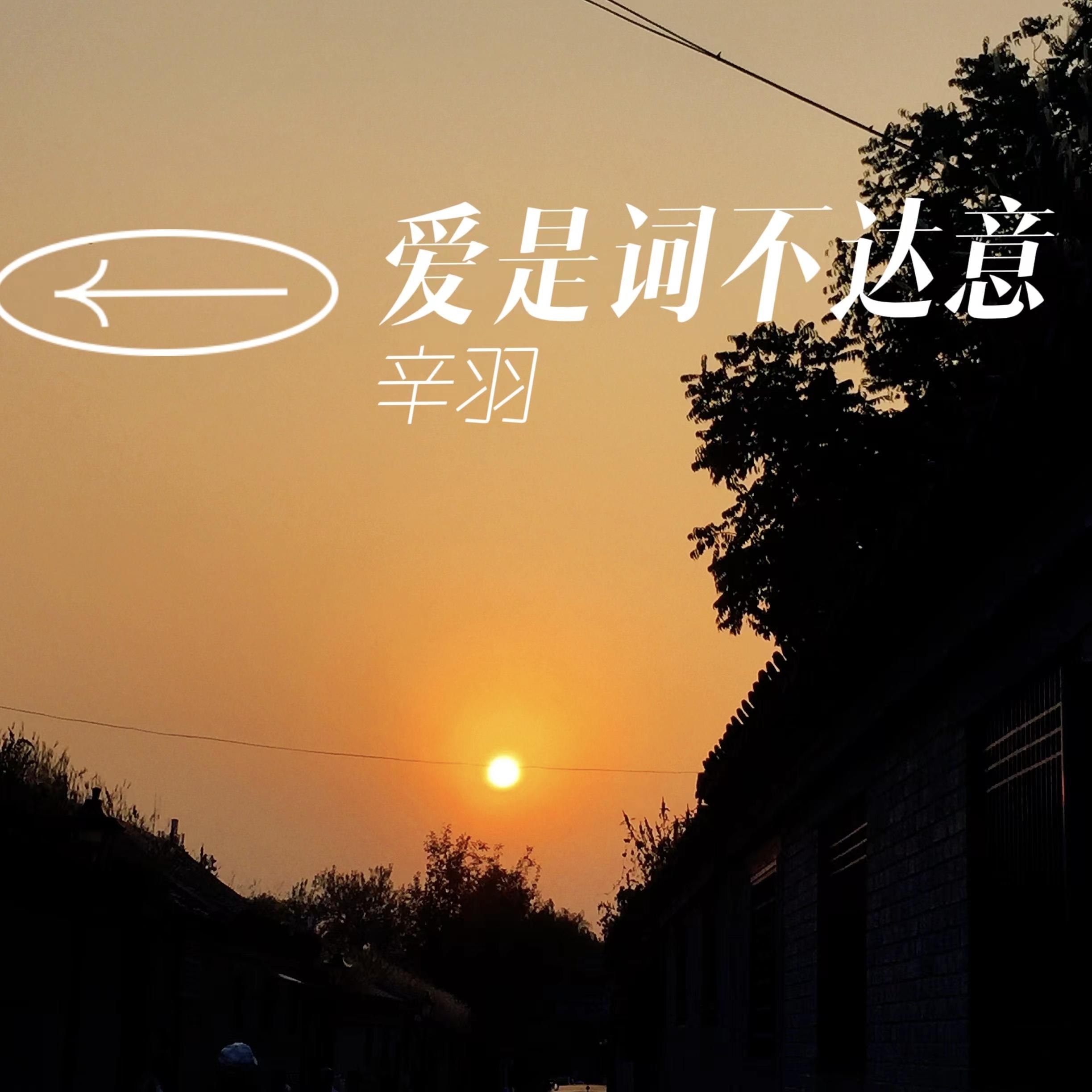爱是词不达意