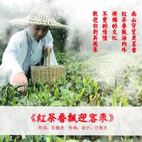 欢迎你到茶乡来(多彩贵州系列) （原版立体声）