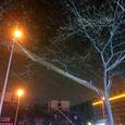 深夜的幻想