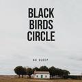 Black Birds Circle