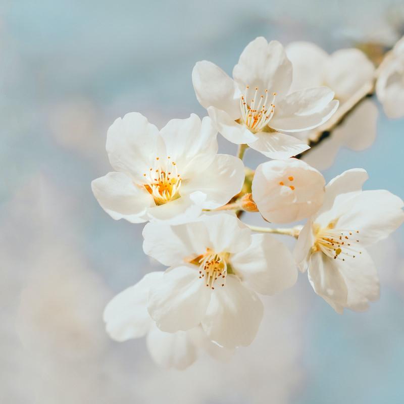 春日爵士 | 和煦春风穿越山岗