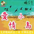 爱情小鸟