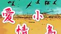 爱情小鸟专辑